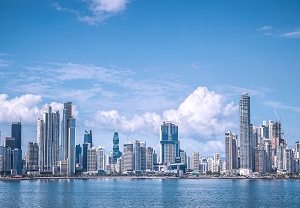 ����������������Ŀ